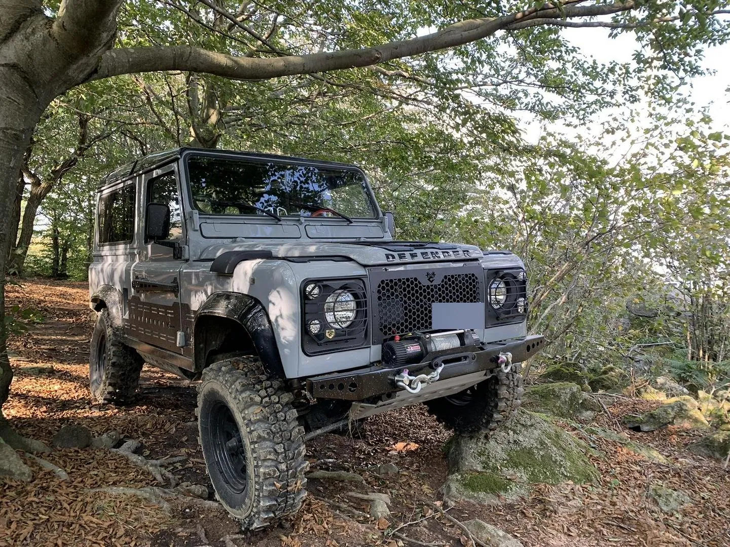 Land Rover Defender 1991 photo 2