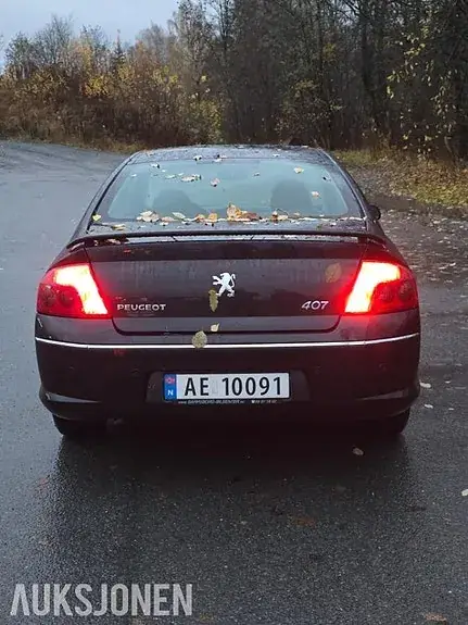 Peugeot 407 2005 photo 4