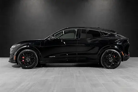 Ford Mustang Mach-E 2023 photo 5