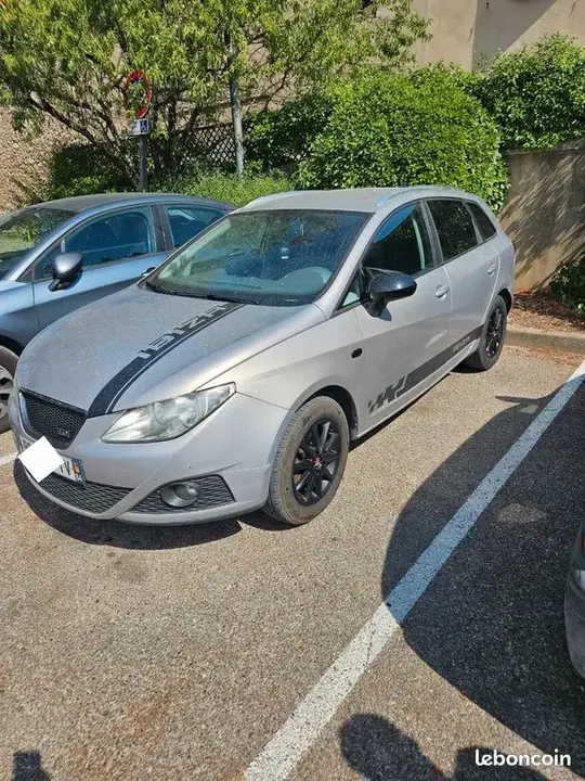 Seat Ibiza 2010 photo 3