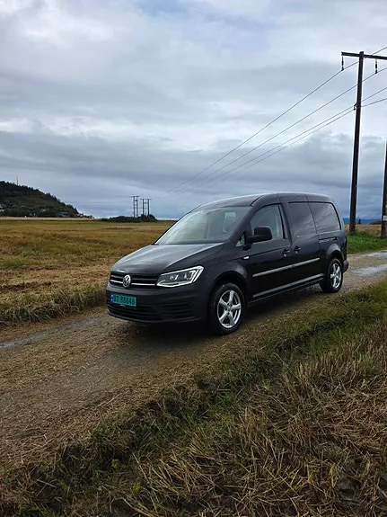 Volkswagen Caddy Maxi 2019 photo 3