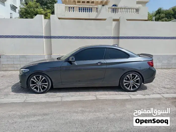 BMW 2 Series