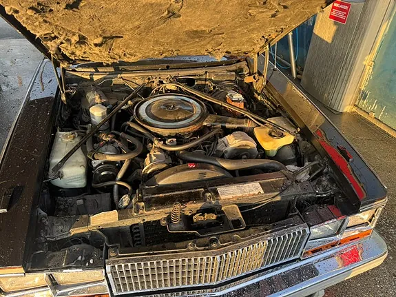 Cadillac Seville 1978 photo 3