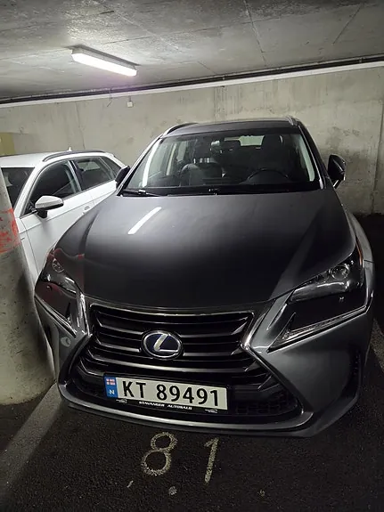 Lexus Nx300H