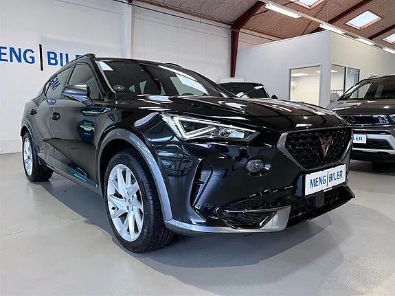Cupra Formentor 2021 photo 3