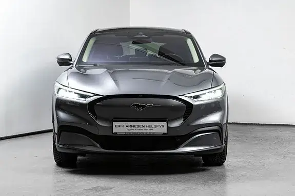 Ford Mustang Mach-E 2021 photo 3
