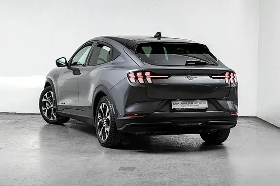Ford Mustang Mach-E 2021 photo 2