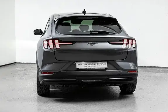 Ford Mustang Mach-E 2021 photo 5