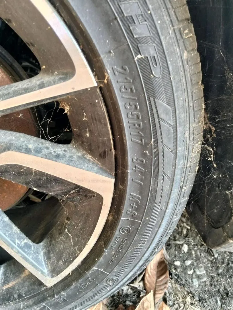 MG Zs 2024 photo 5