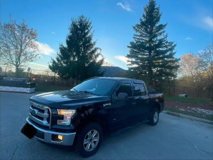 Ford F-150 2015 photo 4