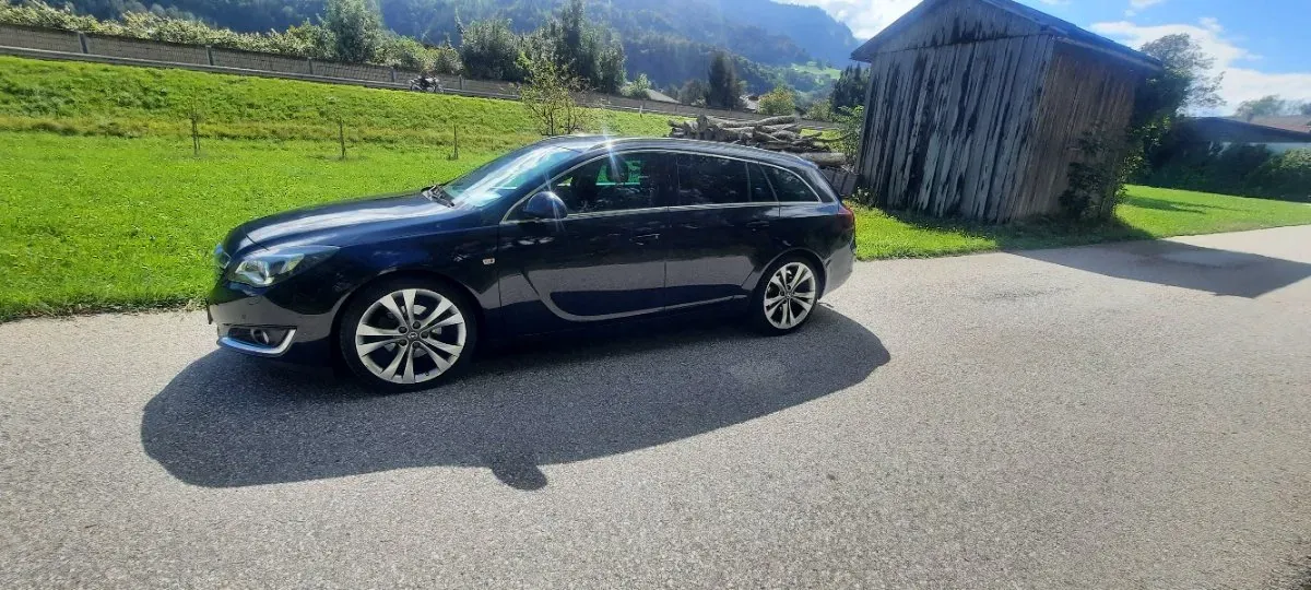 Opel Insignia 2014 photo 2