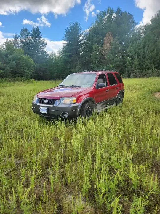 Ford Escape