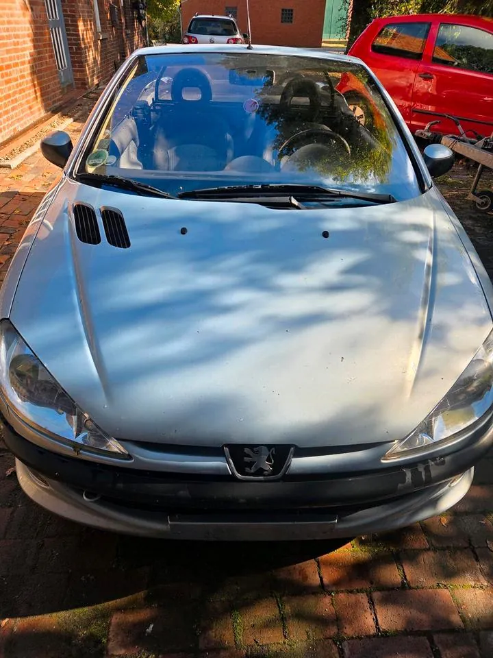 Peugeot 206 Cc