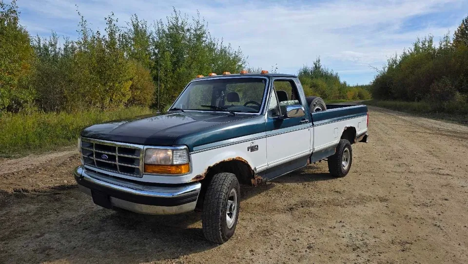 Ford F-150 1994 photo 2