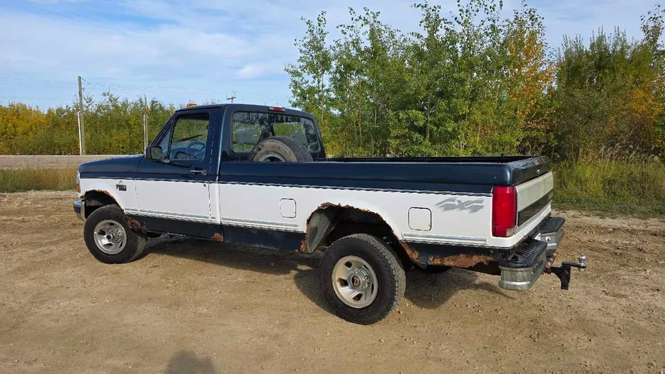 Ford F-150 1994 photo 3