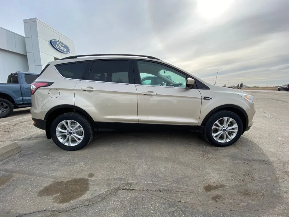 Ford Escape 2017 photo 4