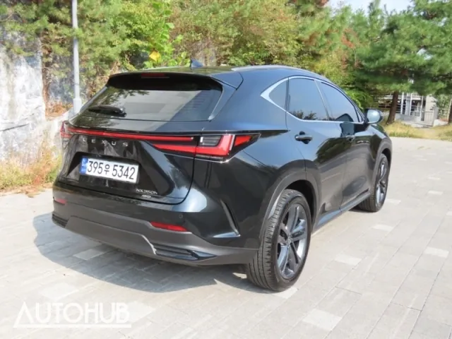 Lexus Nx 2024 photo 3