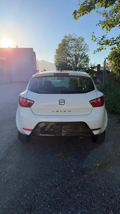 Seat Ibiza 2010 photo 3