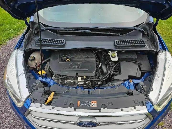 Ford Escape 2017 photo 4