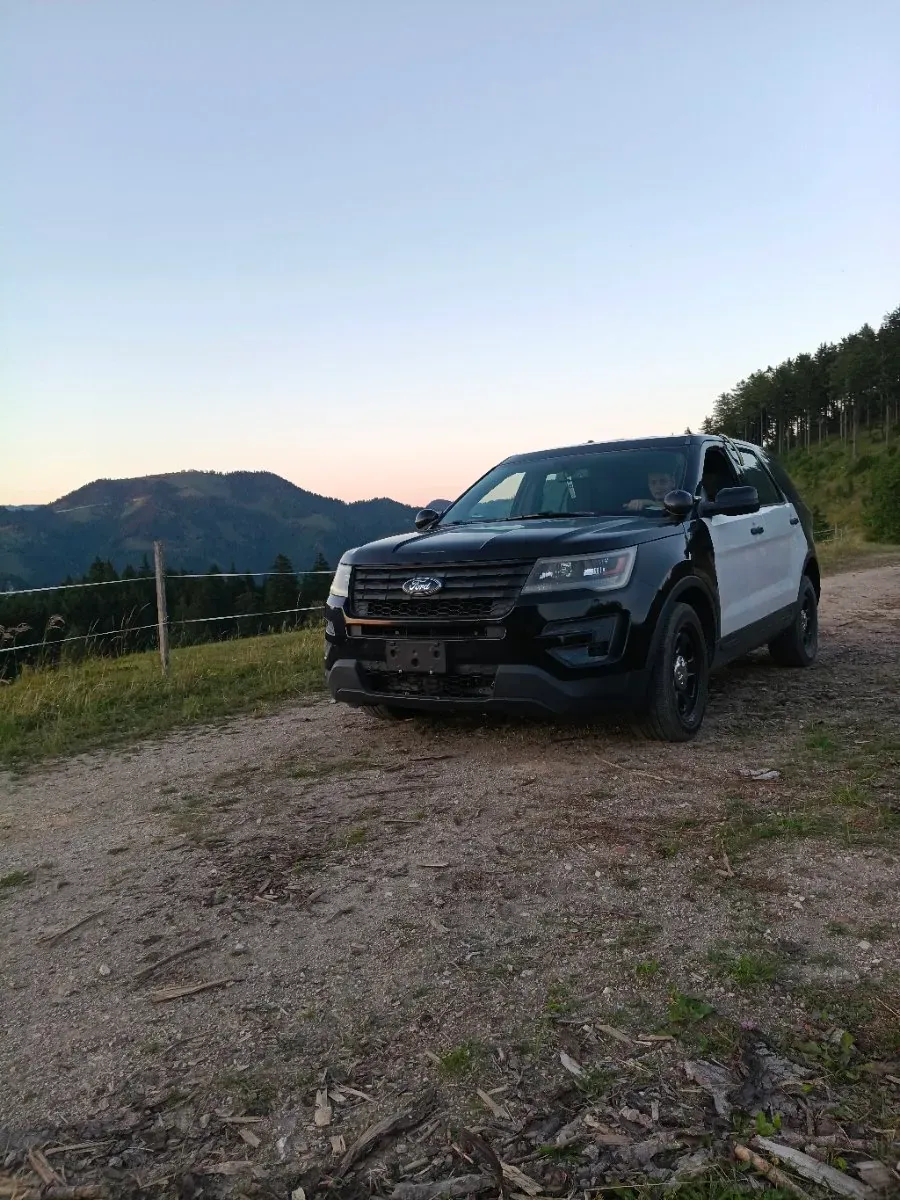 Ford Sonstige