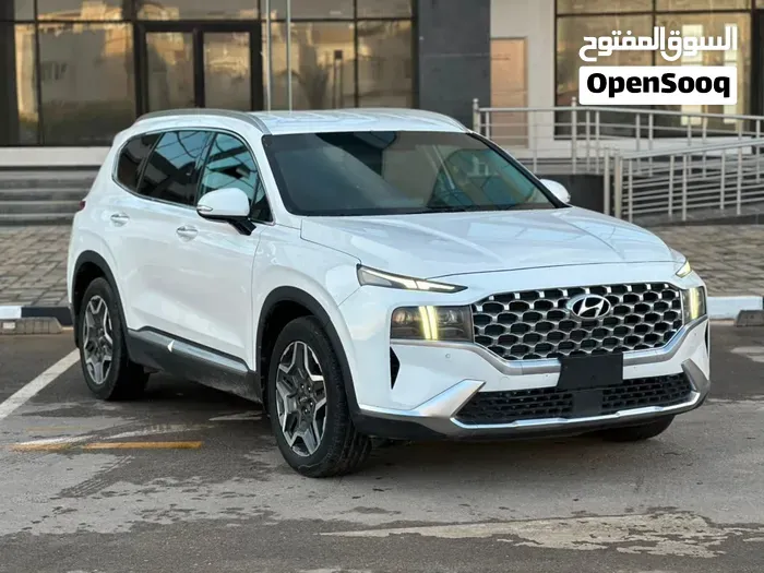 Hyundai Santa Fe 2023 photo 2