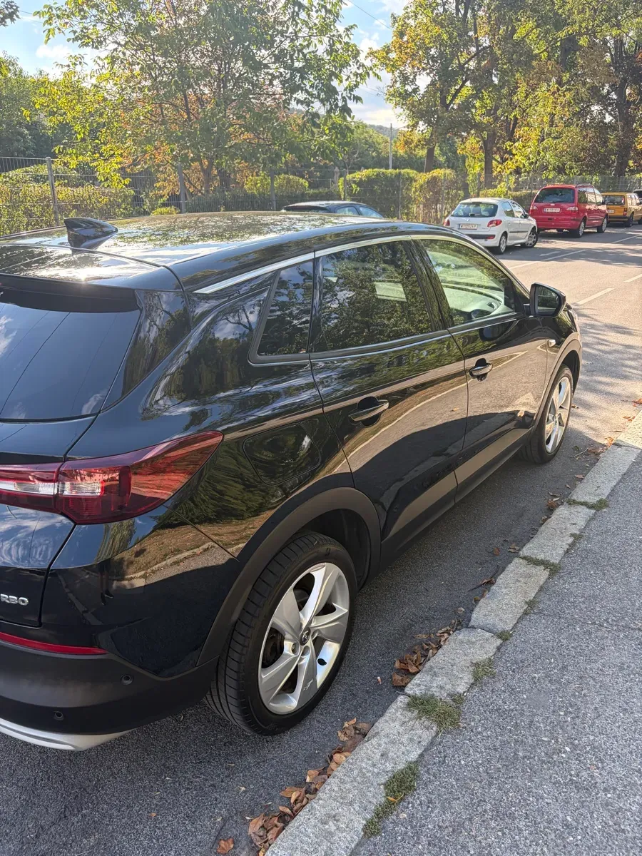 Opel Grandland X 2019 photo 2