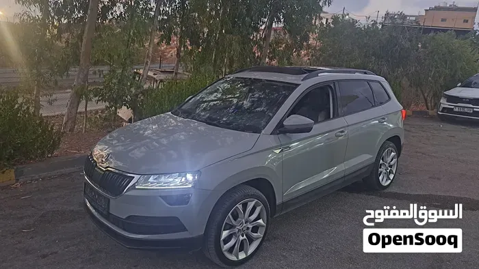 Skoda Karoq 2019 photo 3