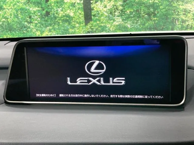 Lexus Rx 300 F Sport 2018 photo 3
