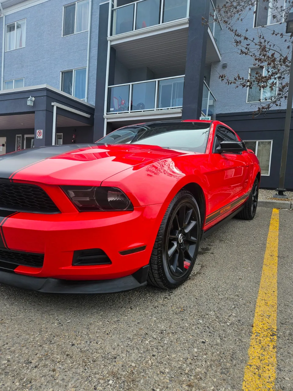 Ford Mustang