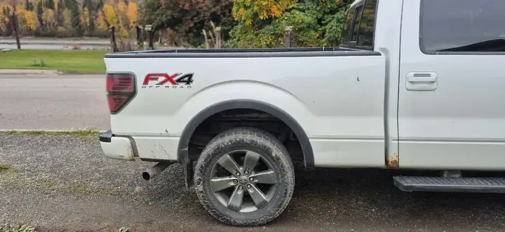 Ford F-150 2013 photo 2