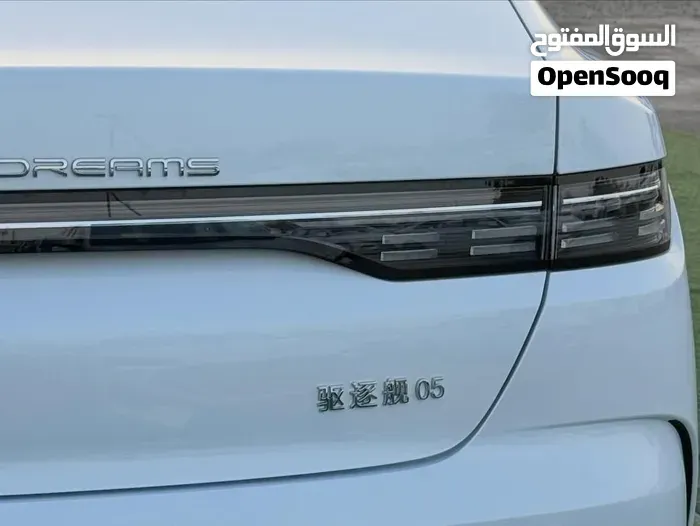 BYD Destroyer 05 2025 photo 4