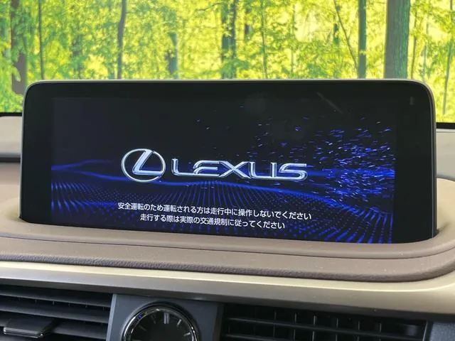 Lexus Rx 300 2019 photo 4