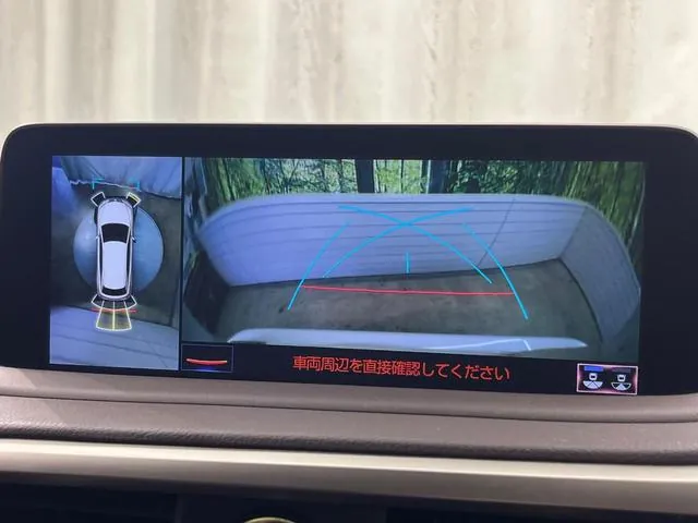 Lexus Rx 300 2019 photo 5