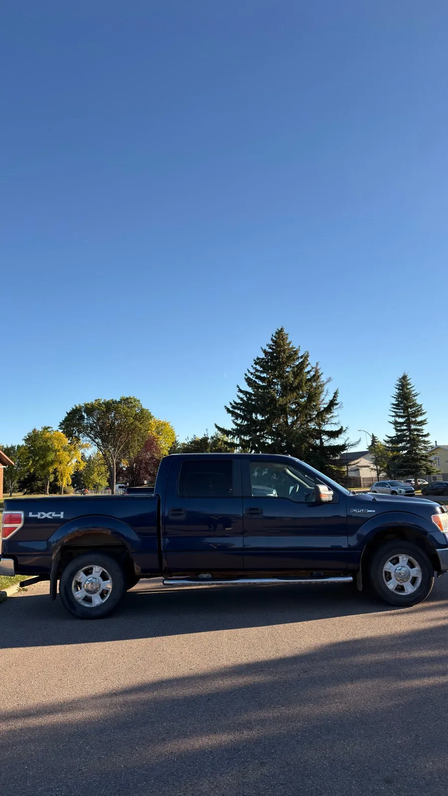 Ford F-150 2010 photo 4