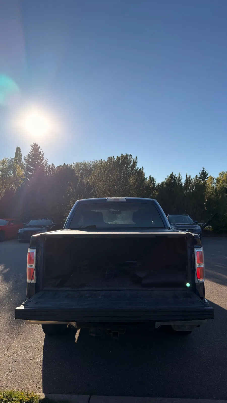 Ford F-150 2010 photo 5