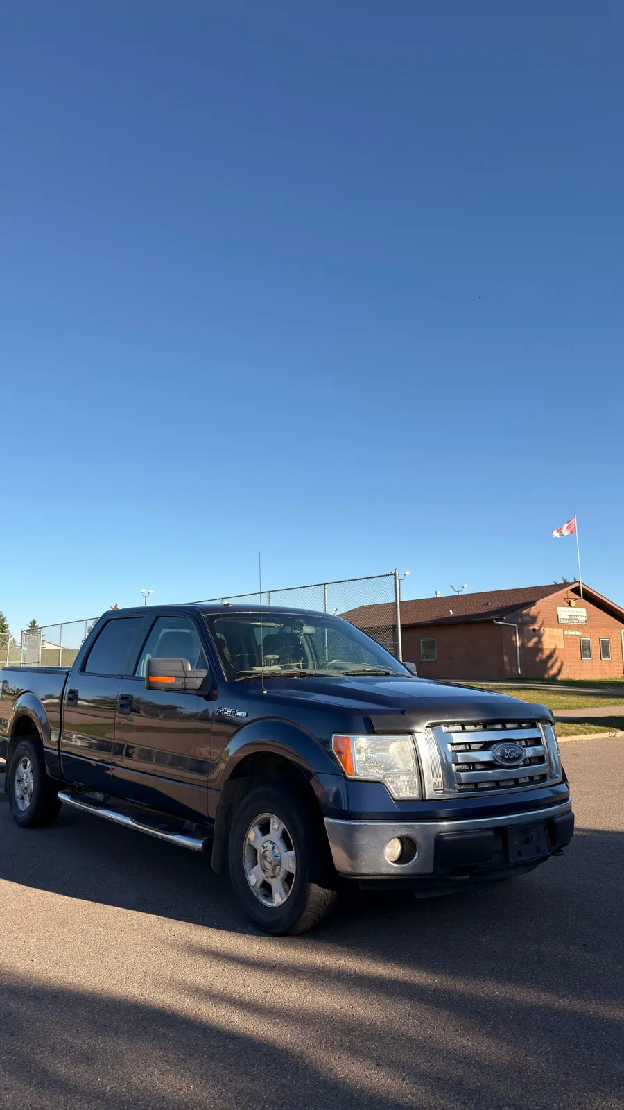 Ford F-150 2010 photo 2