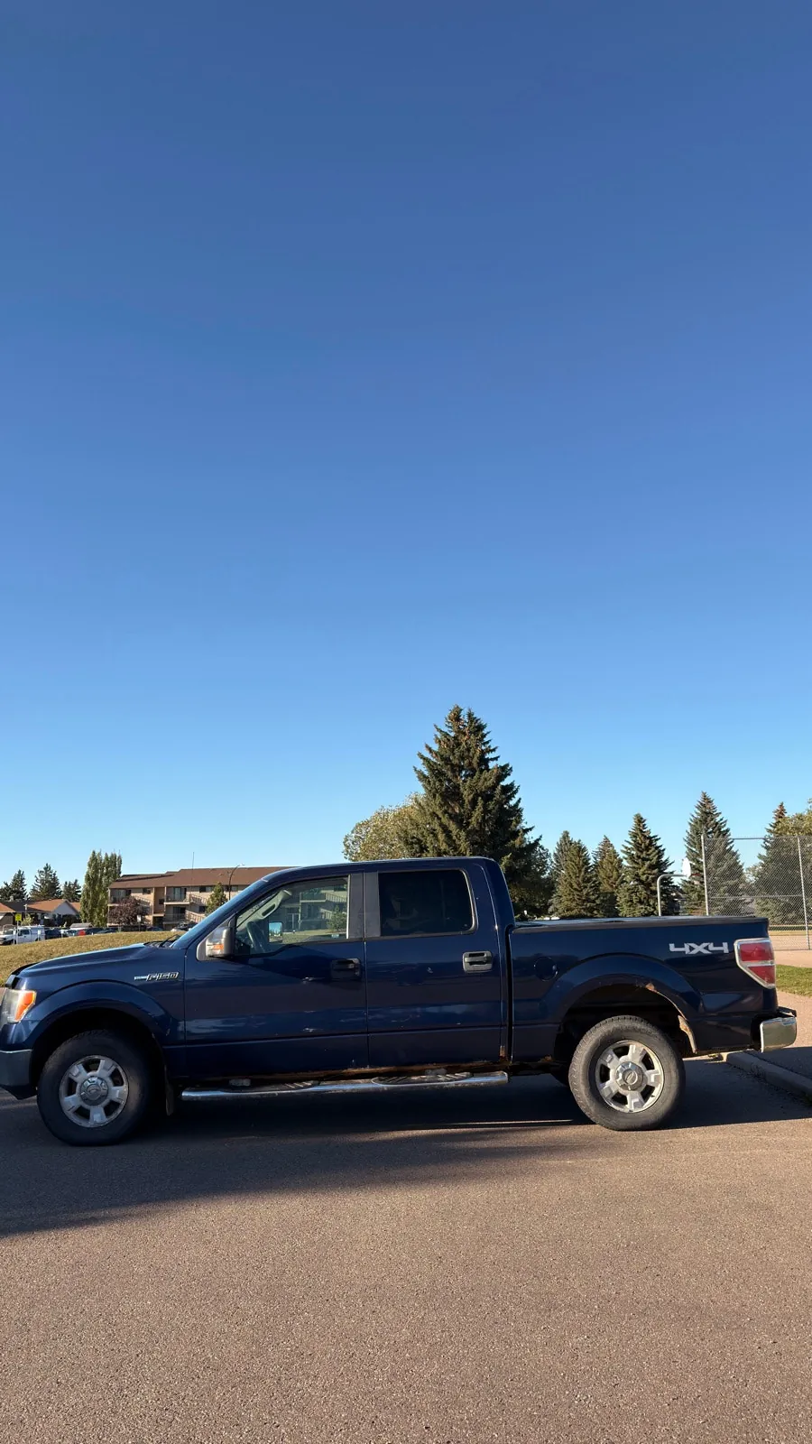 Ford F-150 2010 photo 3