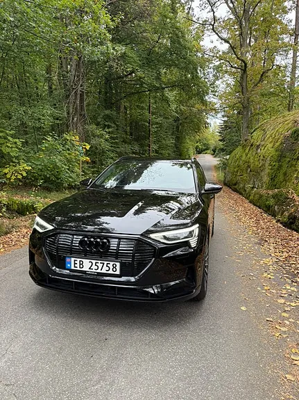 Audi E-Tron 2020 photo 3