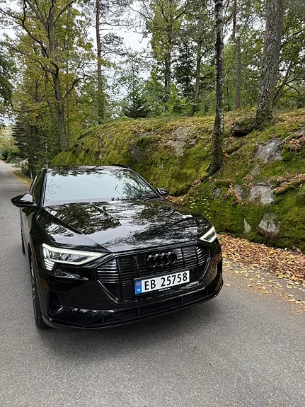 Audi E-Tron 2020 photo 4
