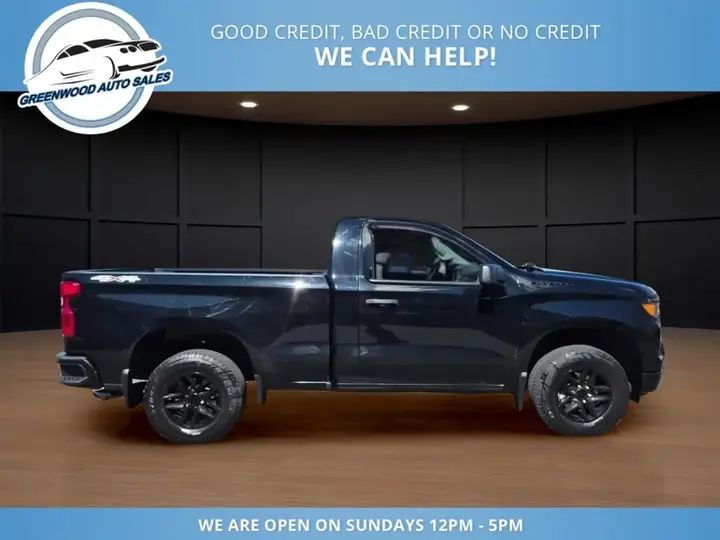 Chevrolet Silverado 1500 2024 photo 4