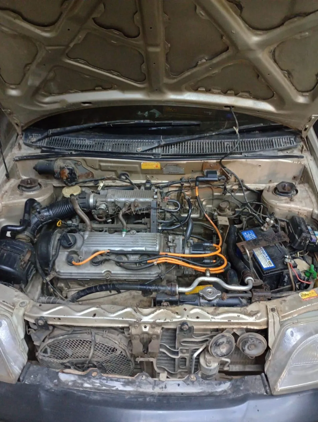 Suzuki Cultus