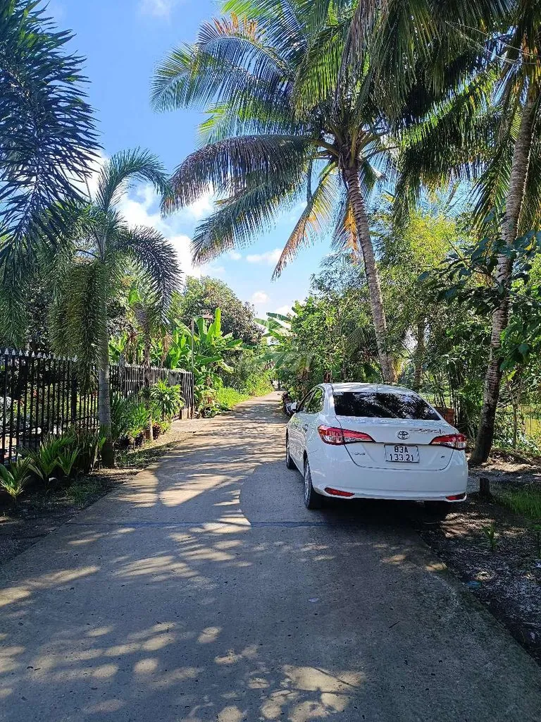 Toyota Vios 2019 photo 2