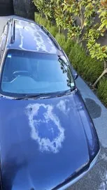 Toyota Caldina 1996 photo 5