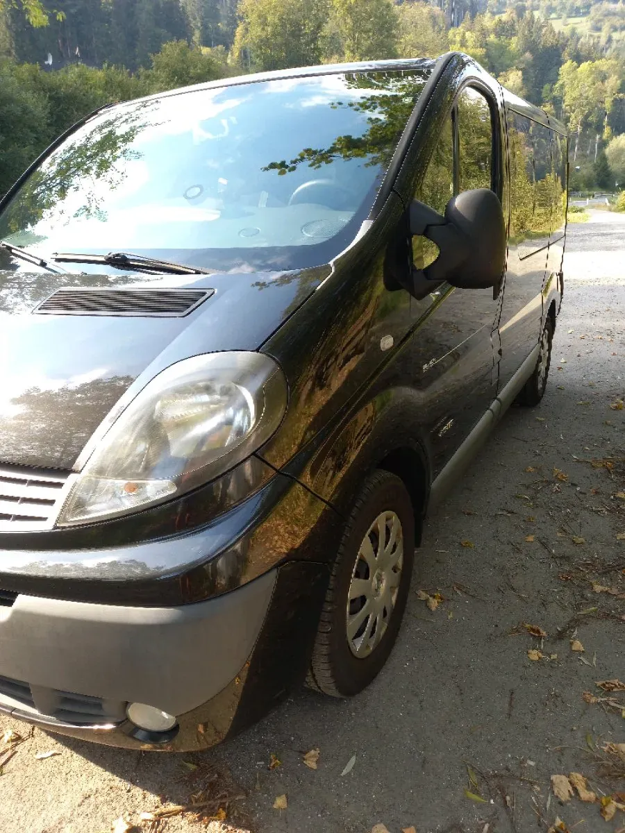Renault Trafic 2014 photo 2