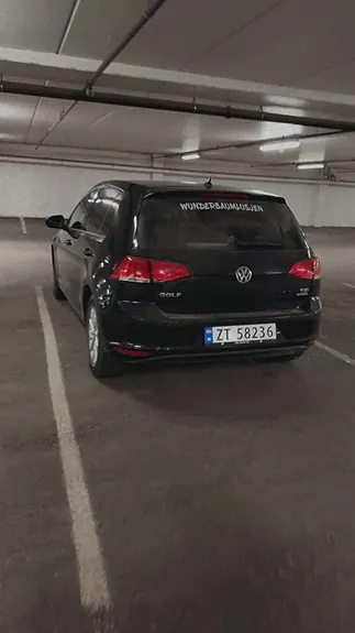 Volkswagen Golf Vii 2014 photo 3