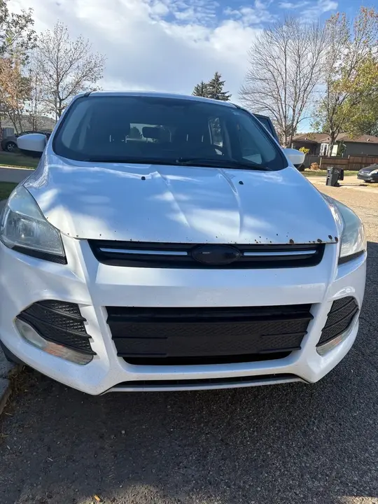 Ford Escape 2015 photo 2