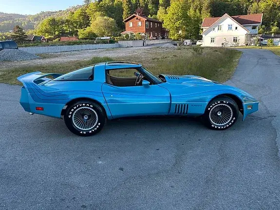 Chevrolet Corvette 1981 photo 3