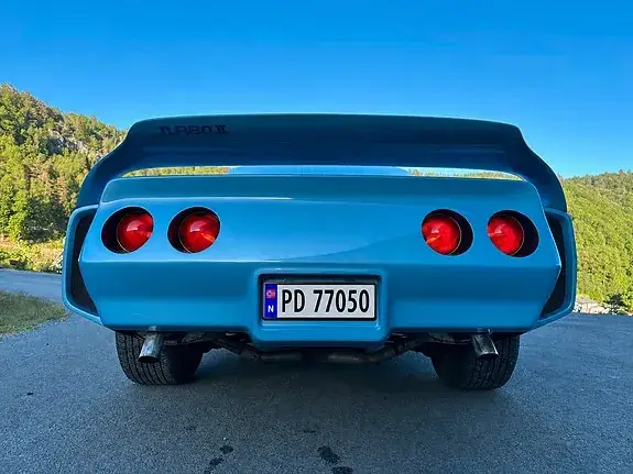 Chevrolet Corvette 1981 photo 5