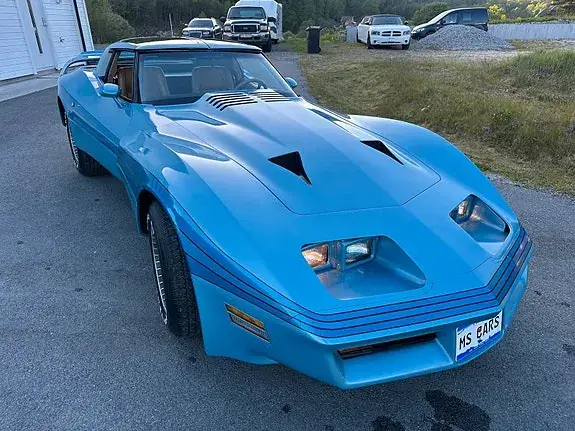 Chevrolet Corvette 1981 photo 4