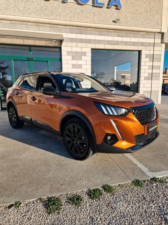 Peugeot 2008 2020 photo 3